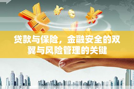番路贷款与保险，金融安全的双翼与风险管理的关键