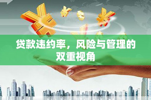 番路贷款违约率，风险与管理的双重视角