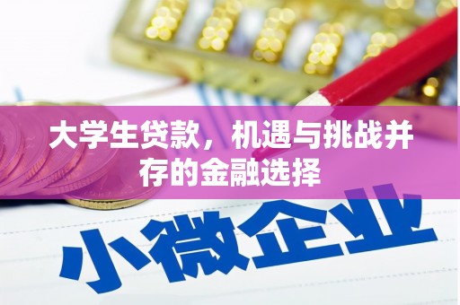 番路大学生贷款，机遇与挑战并存的金融选择