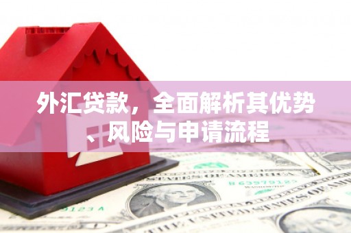 番路外汇贷款，全面解析其优势、风险与申请流程