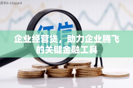 番路企业经营贷，助力企业腾飞的关键金融工具