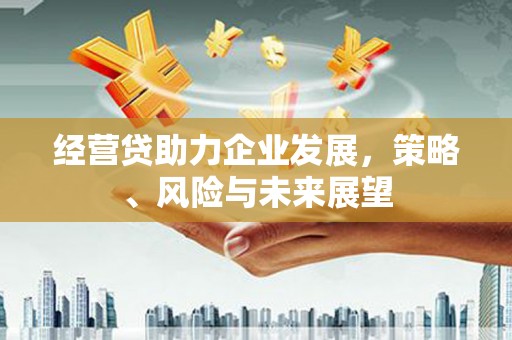 番路经营贷助力企业发展，策略、风险与未来展望