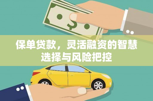 番路保单贷款，灵活融资的智慧选择与风险把控