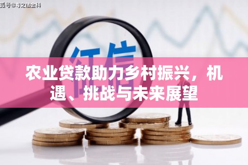 番路农业贷款助力乡村振兴，机遇、挑战与未来展望