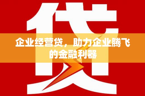 番路企业经营贷，助力企业腾飞的金融利器