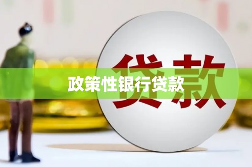 番路政策性银行贷款