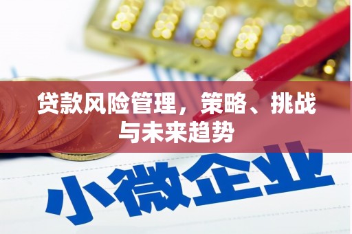 番路贷款风险管理，策略、挑战与未来趋势