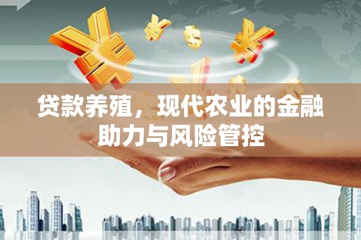 番路贷款养殖，现代农业的金融助力与风险管控