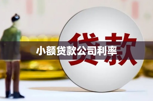 番路小额贷款公司利率
