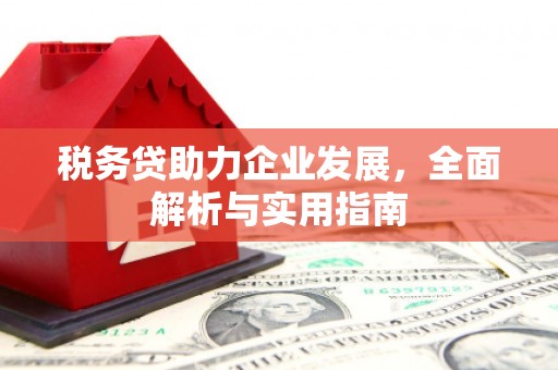 番路税务贷助力企业发展，全面解析与实用指南