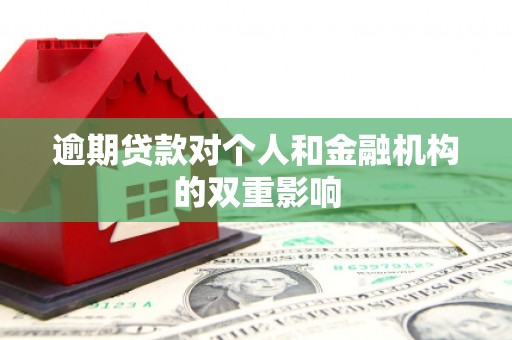 番路逾期贷款对个人和金融机构的双重影响
