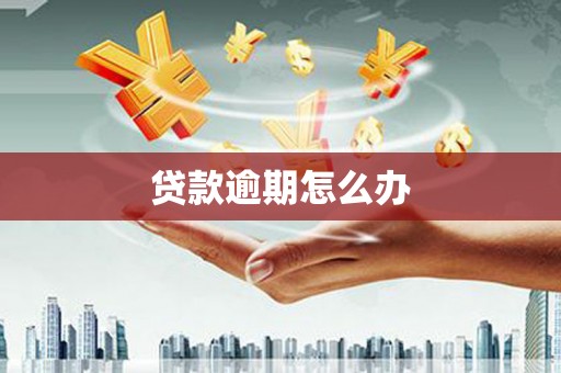 番路贷款逾期怎么办