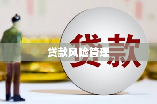 番路贷款风险管理