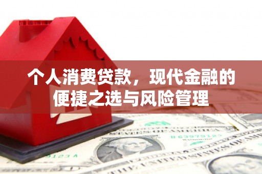 番路个人消费贷款，现代金融的便捷之选与风险管理