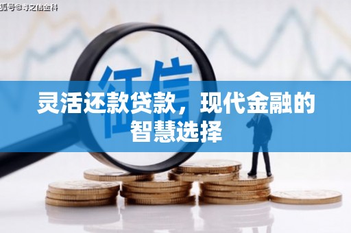 番路灵活还款贷款，现代金融的智慧选择