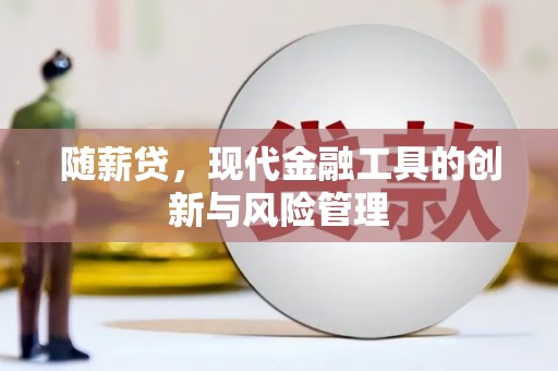 番路随薪贷，现代金融工具的创新与风险管理