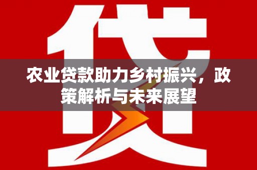 番路农业贷款助力乡村振兴，政策解析与未来展望