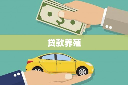 番路贷款养殖