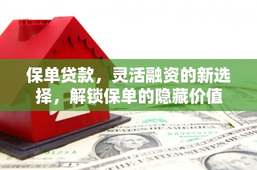 番路保单贷款，灵活融资的新选择，解锁保单的隐藏价值