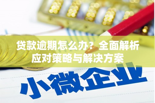 番路贷款逾期怎么办？全面解析应对策略与解决方案