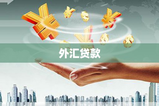 番路外汇贷款