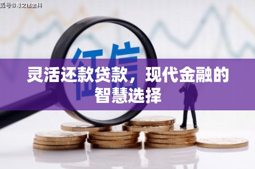 番路灵活还款贷款，现代金融的智慧选择
