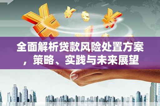 番路全面解析贷款风险处置方案，策略、实践与未来展望