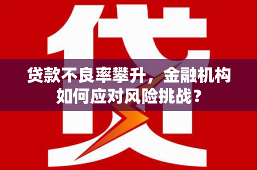 番路贷款不良率攀升，金融机构如何应对风险挑战？