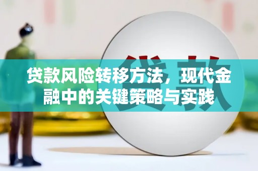 番路贷款风险转移方法，现代金融中的关键策略与实践