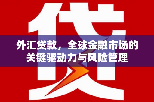 番路外汇贷款，全球金融市场的关键驱动力与风险管理