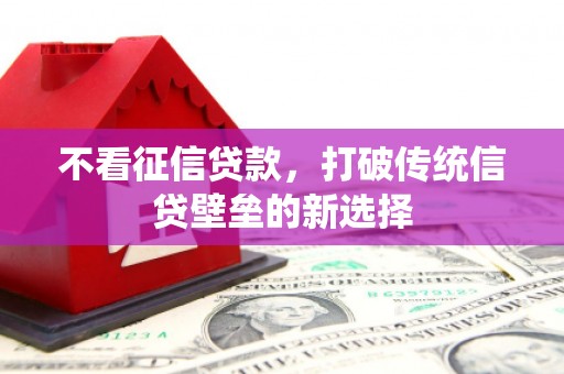番路不看征信贷款，打破传统信贷壁垒的新选择
