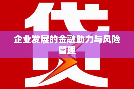 番路企业发展的金融助力与风险管理