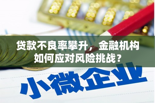 番路贷款不良率攀升，金融机构如何应对风险挑战？