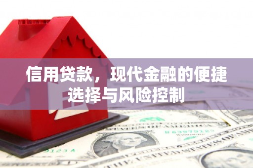 番路信用贷款，现代金融的便捷选择与风险控制