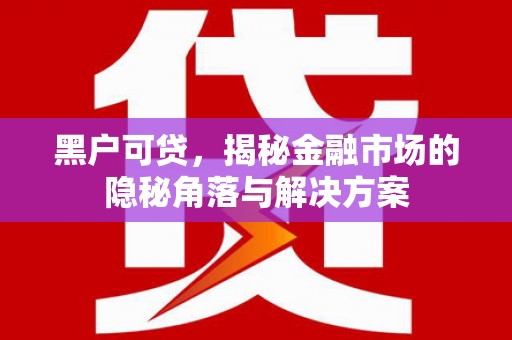 番路黑户可贷，揭秘金融市场的隐秘角落与解决方案
