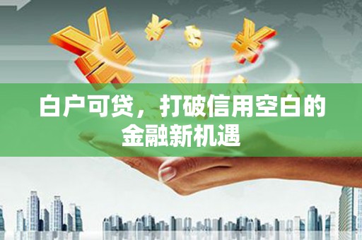番路白户可贷，打破信用空白的金融新机遇