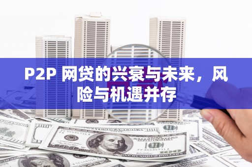 番路P2P 网贷的兴衰与未来，风险与机遇并存