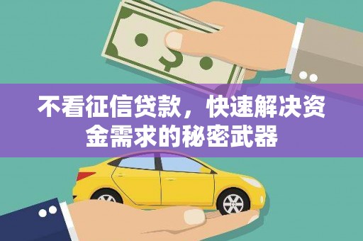 番路不看征信贷款，快速解决资金需求的秘密武器
