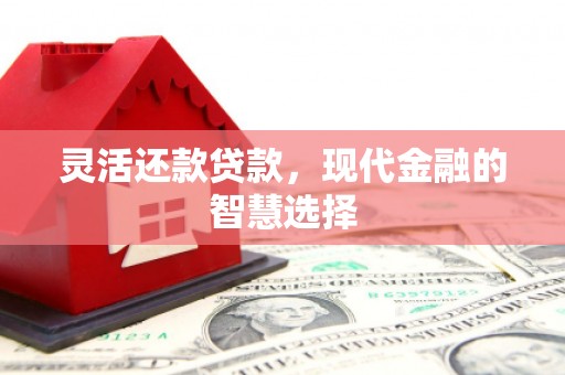 番路灵活还款贷款，现代金融的智慧选择