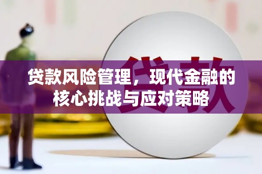番路贷款风险管理，现代金融的核心挑战与应对策略