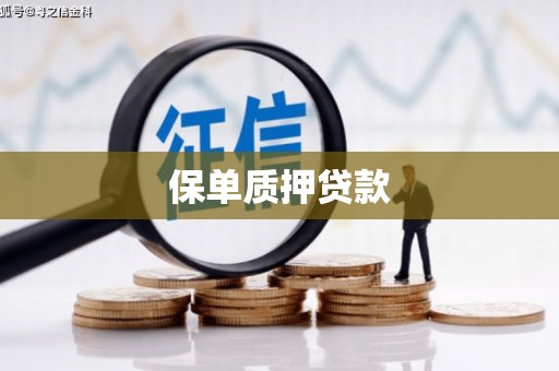 番路保单质押贷款