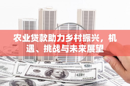 番路农业贷款助力乡村振兴，机遇、挑战与未来展望