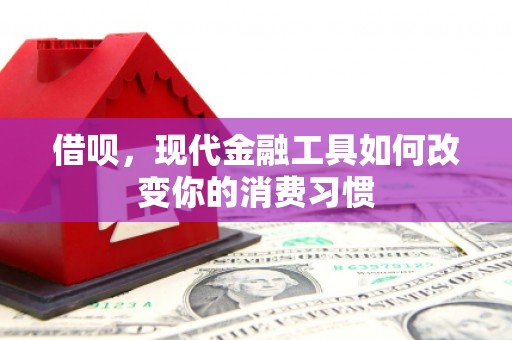 番路借呗，现代金融工具如何改变你的消费习惯