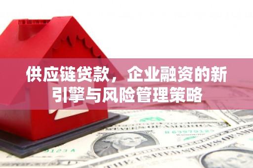 番路供应链贷款，企业融资的新引擎与风险管理策略