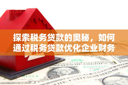 番路探索税务贷款的奥秘，如何通过税务贷款优化企业财务