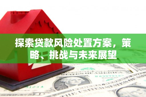 番路探索贷款风险处置方案，策略、挑战与未来展望