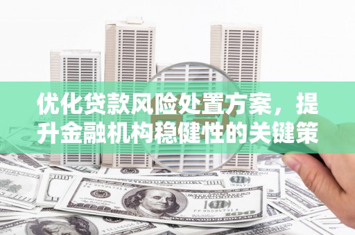 番路优化贷款风险处置方案，提升金融机构稳健性的关键策略