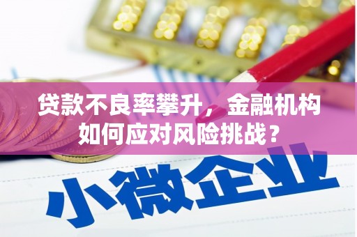 番路贷款不良率攀升，金融机构如何应对风险挑战？