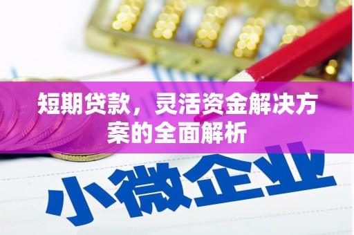 番路短期贷款，灵活资金解决方案的全面解析