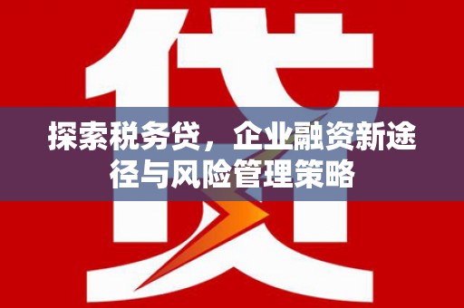 番路探索税务贷，企业融资新途径与风险管理策略